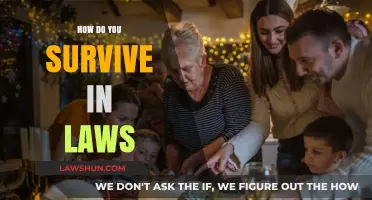 Navigating the Labyrinth: A Guide to Surviving Your In-Laws