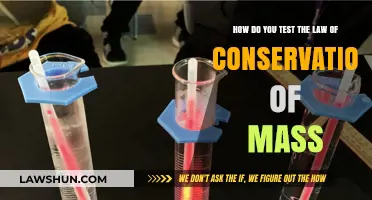 Testing the Law of Conservation of Mass: Practical Experiments and Insights