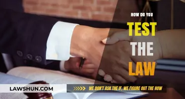 Exploring Legal Boundaries: A Guide to Testing the Law