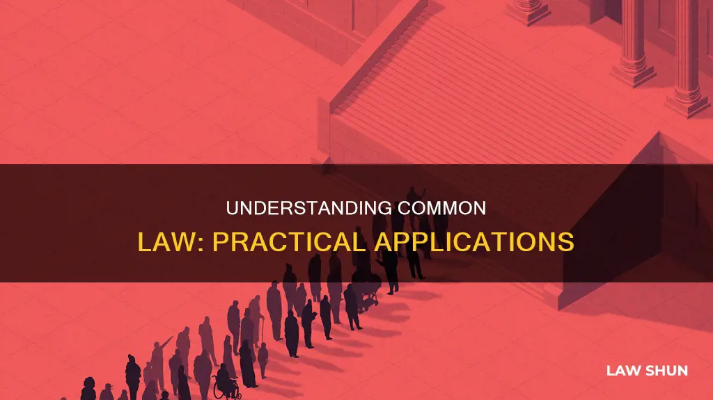 how do you use common law in a sentence