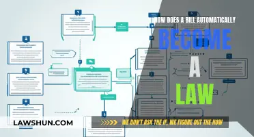 Understanding the Process: Bills to Laws