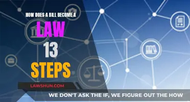 Understanding the Lawmaking Process: Steps to Enact Legislation