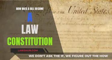 The Bill-to-Law Journey: Understanding the Constitutional Process