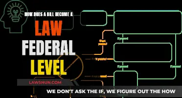 The Journey of a Federal Bill to Law