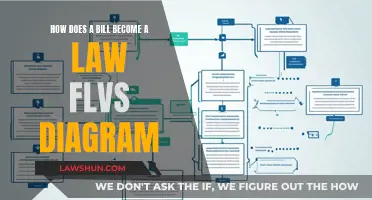 Diagramming Lawmaking: A Visual Guide to FLVS Bill-to-Law Process