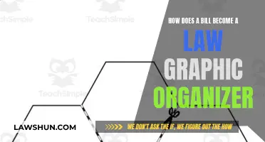 Understanding the Legislative Process: A Visual Guide