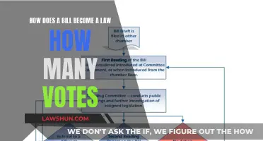 The Legislative Process: Votes to Laws