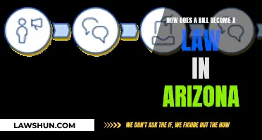 Understanding Arizona's Lawmaking Process