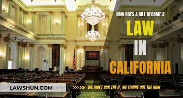 Understanding California's Lawmaking Process