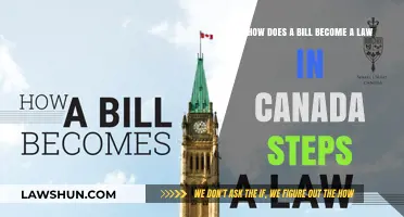 Steps to Make a Bill Become a Law in Canada