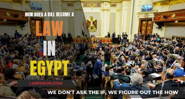 Egypt's Lawmaking Process: From Bill to Law