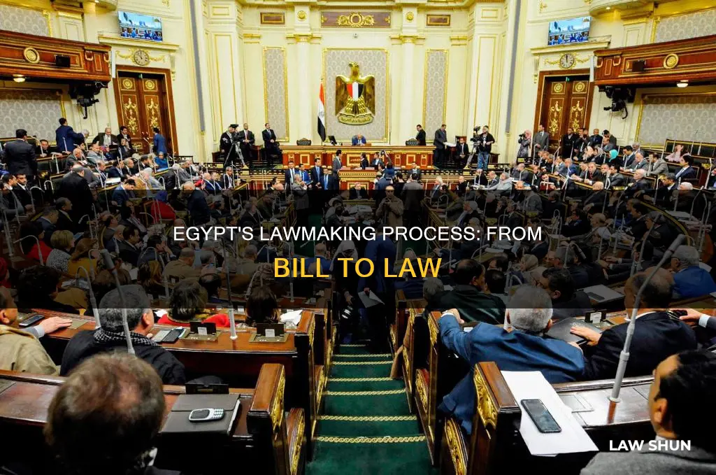 how does a bill become a law in egypt