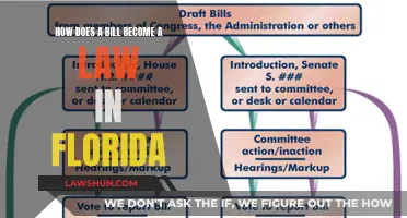 Florida's Lawmaking: Bills to Acts