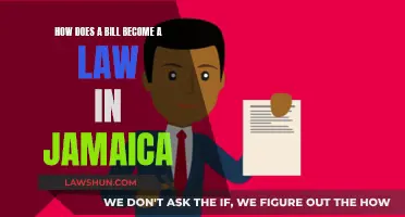 The Journey of a Bill: Jamaica's Lawmaking Process