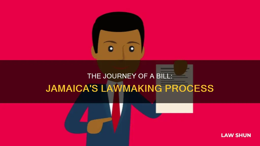 how does a bill become a law in jamaica