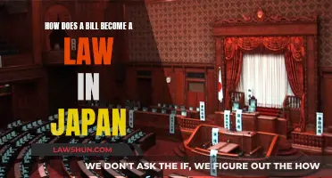 Japan's Lawmaking Process: Bills to Laws