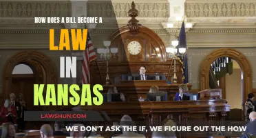 Kansas Lawmaking: Bills to Laws