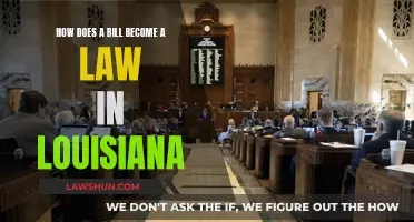 Louisiana's Lawmaking: Bills to Acts