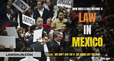 The Mexican Lawmaking Process: Bills to Laws