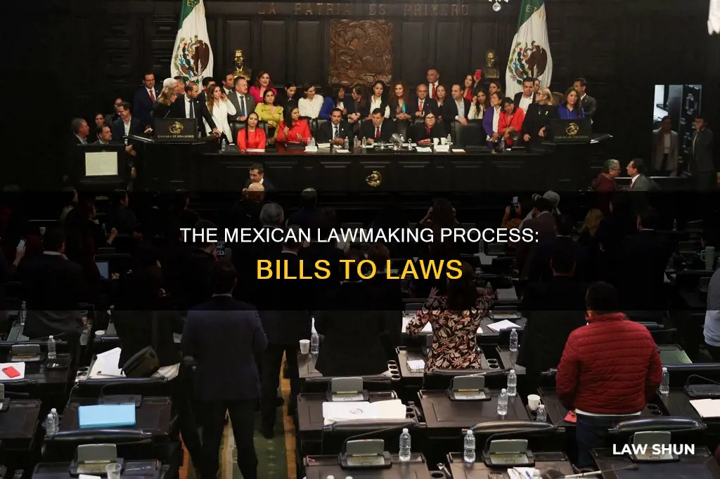 how does a bill become a law in mexico