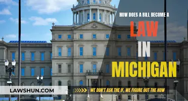 Michigan's Lawmaking Process: Bills to Acts