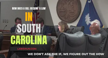 The Bill's Journey: A Law in South Carolina