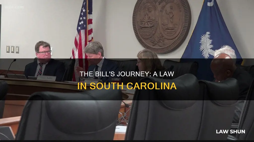 how does a bill become a law in south carolina