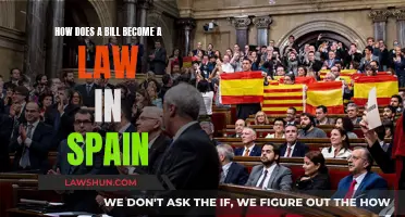 The Spanish Legislative Process: From Bill to Law