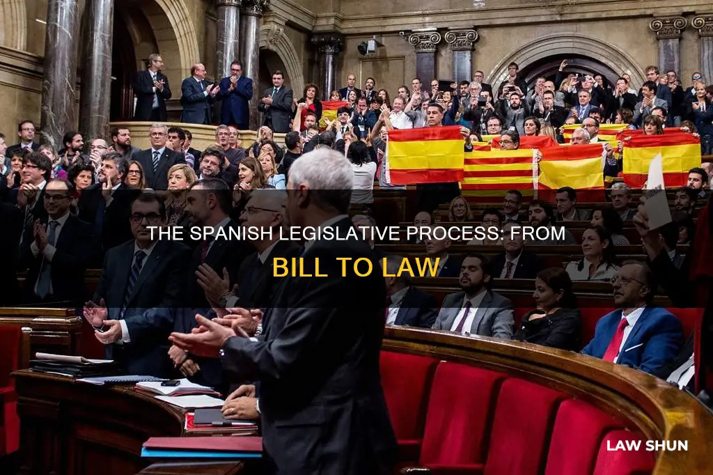 how does a bill become a law in spain