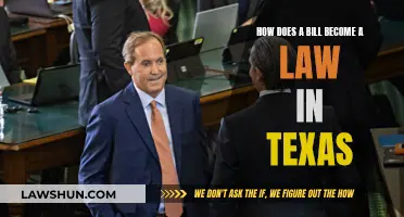 Understanding the Texas Legislative Process: Bills to Laws