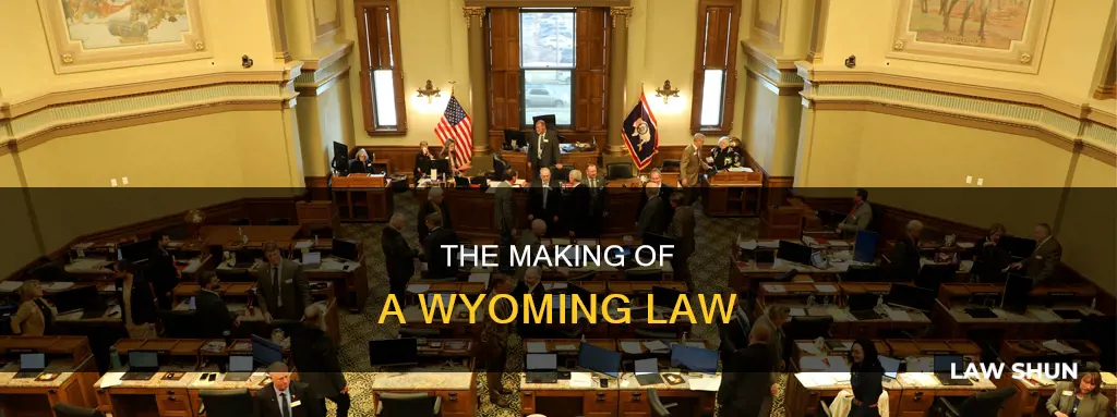 how does a bill become a law in wyoming