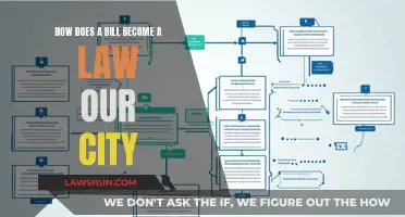 Understanding the Legislative Process in Our City