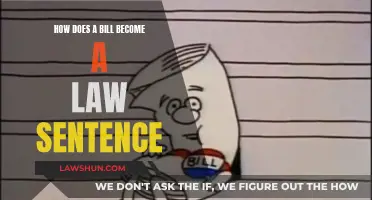 The Bill's Journey: Understanding Lawmaking Process