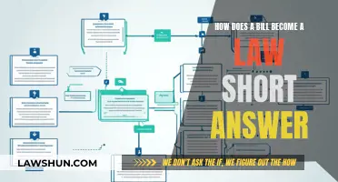 The Bill's Journey: Lawmaking Simplified