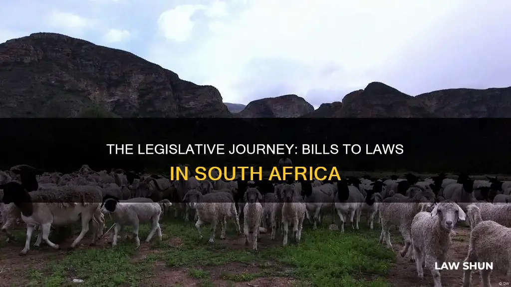 how does a bill become a law south africa