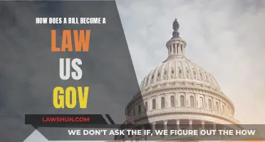 The Bill's Journey: Lawmaking in the US