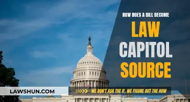 The Capitol Source: How Bills Become Laws