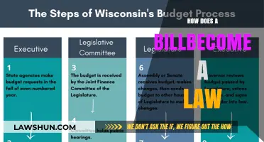 From Proposal to Law: The Legislative Journey of a Bill