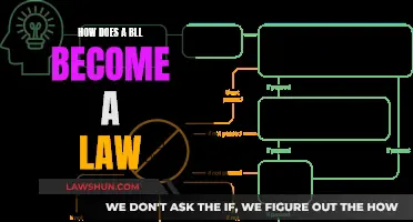 The Bill's Journey: Understanding the Path to Law