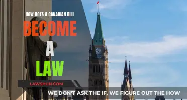 Canadian Laws: The Journey of a Bill