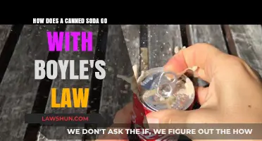 Soda and Boyle's Law: The Fizz Factor