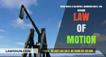 Catapults and Newton's Second Law: Force, Mass, and Acceleration Explained
