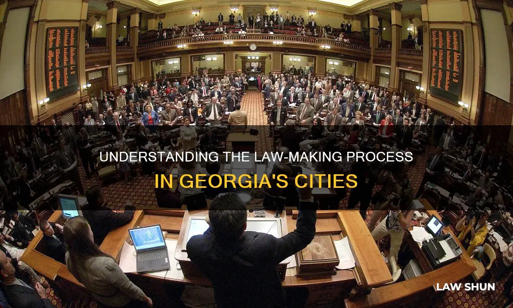 how does a city council ordiance become law georgia