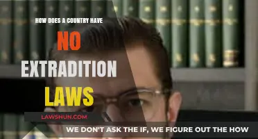 Understanding Nations Without Extradition Laws: Legal Loopholes and Sovereignty