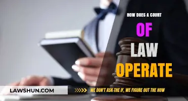 Understanding the Inner Workings of a Court of Law