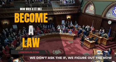 Understanding the Legislative Process: CT Bills to Laws