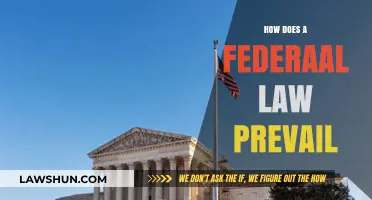 Understanding Federal Law: How It Overrides State Statutes