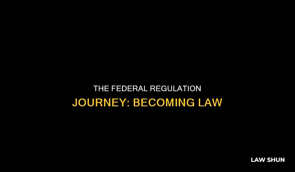 how does a federal regulation become law