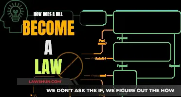 The Legislative Journey: Bill to Law Explained