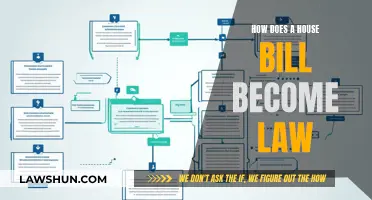 The Legislative Process: How Bills Become Laws